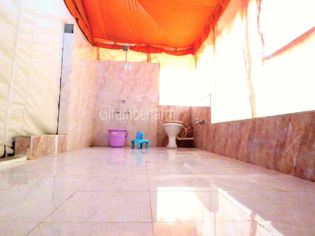 فندق غابة غيرفي  Amber Farm المظهر الخارجي الصورة